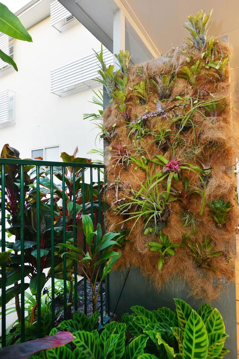 Port Douglas Apartments - Adults Only Oasis - Accommodation Brunswick Heads 27