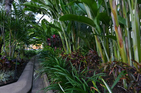 Port Douglas Apartments - Adults Only Oasis - Accommodation Brunswick Heads 9