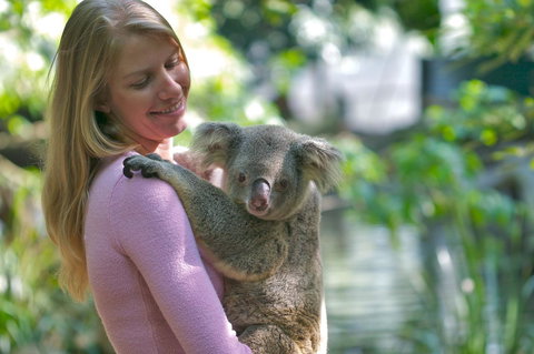 Martinique On Macrossan - Accommodation Brunswick Heads 30