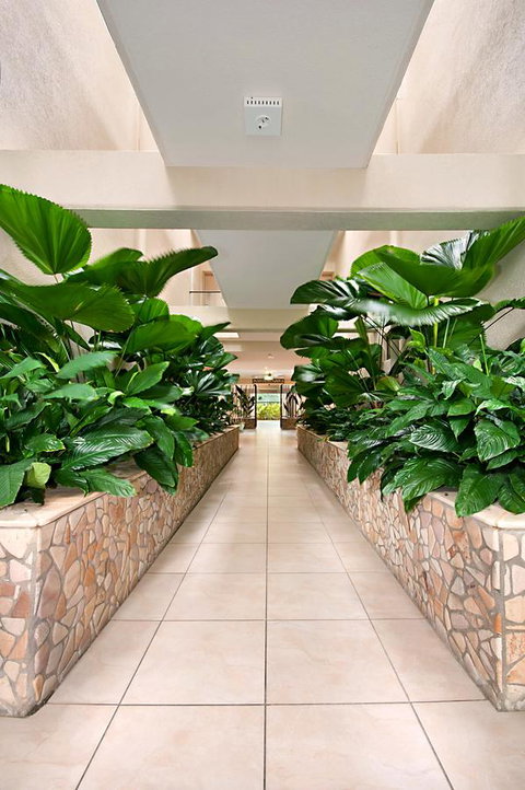 Shantara Resort Port Douglas - Adults Only Retreat - Accommodation Brunswick Heads 27