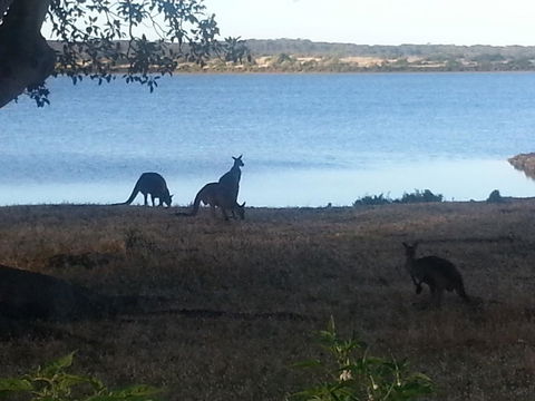 Ratcliff Cottage - Accommodation Brunswick Heads 2