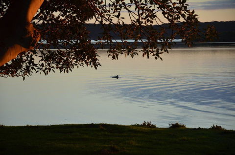 Ratcliff Cottage - Accommodation Brunswick Heads 11