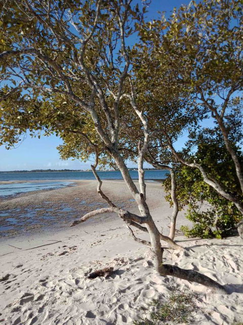 Modern Beach Villa - Accommodation Brunswick Heads 15