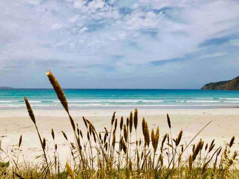 Modern Beach Villa - Accommodation Brunswick Heads 14