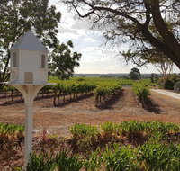 'In The Vines' Guest Cottage Barossa Valley - Accommodation Brunswick Heads