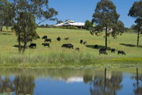 Book Nabiac Accommodation Vacations Accommodation Brunswick Heads Accommodation Brunswick Heads