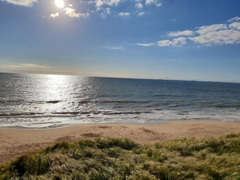 (Pets Welcome) Southern Comfort - Accommodation Brunswick Heads 2