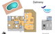 106 Ocean Parade Dalmeny - thumb 2