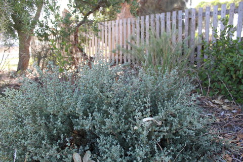 12 Apostles Cottages - Accommodation Brunswick Heads 2