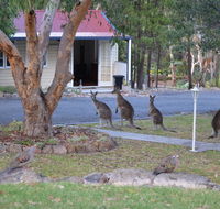 31 The Rocks - Accommodation Brunswick Heads