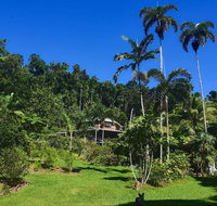 A Daintree Garden - Accommodation Brunswick Heads