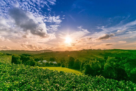 A PERFECT STAY - Byron's Brae - Accommodation Brunswick Heads 3