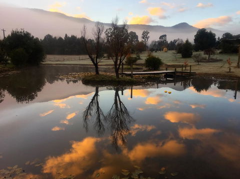 Acheron Acres Riverside - Accommodation Brunswick Heads 2