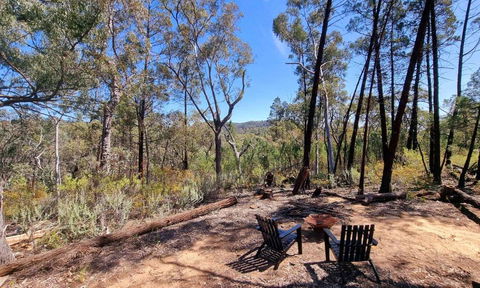 Echidna Ridge By Tiny Away - Accommodation Brunswick Heads 1