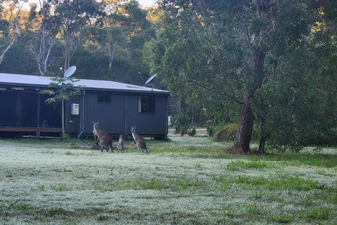 EcoRetreat 1770 - Accommodation Brunswick Heads 4