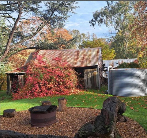 Ellerslie Cottage - Accommodation Brunswick Heads 1