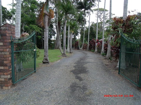 Emerald Tropical Palms B & B - Accommodation Brunswick Heads 0