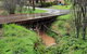 Frogmouth Hollow - thumb 4