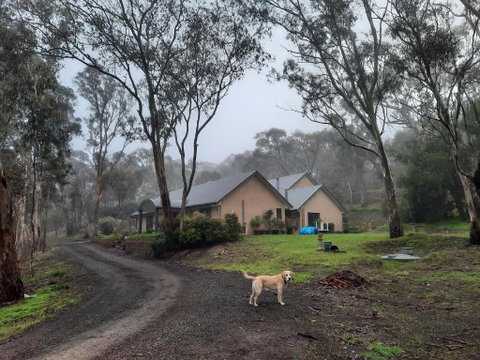 Frogmouth Hollow - Accommodation Brunswick Heads 0