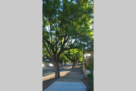 Gawler Heritage Accommodation - Accommodation Brunswick Heads 1