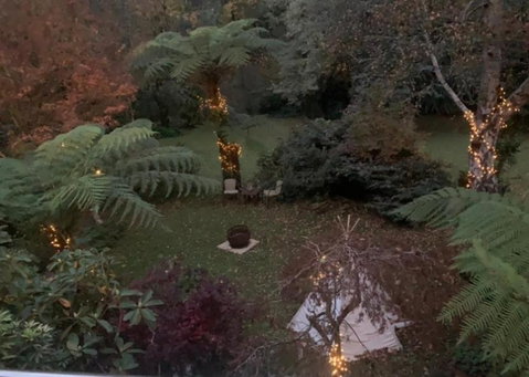 Green Forrest Cottage - Accommodation Brunswick Heads 1