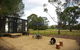Grove At Peasant Farm By Tiny Away - thumb 0