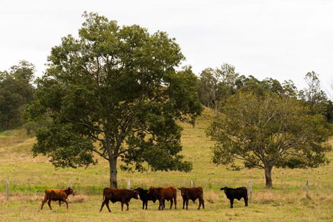 Hampson Farm Stay Hill Top By Tiny Away - Accommodation Brunswick Heads 3