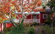 Akarana Cottage - thumb 1