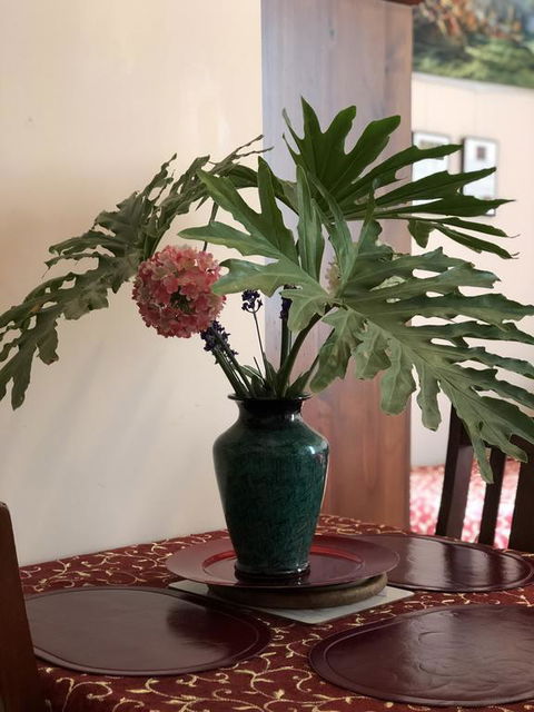 Albany Foreshore Guest House - Accommodation Brunswick Heads 3