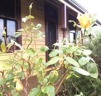 Albion Cottage - Accommodation Brunswick Heads