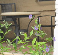 Amalie Cottage Waikerie - Accommodation Brunswick Heads