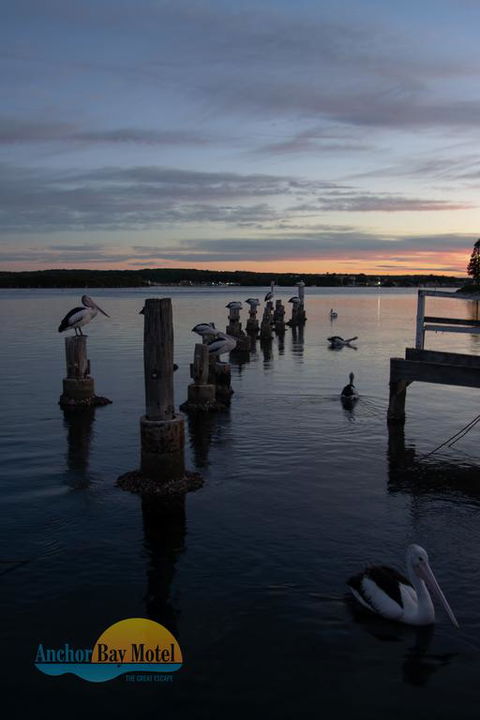 Anchor Bay Motel - Accommodation Brunswick Heads 3