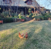 Angaston by the Winter Creek - Accommodation Brunswick Heads