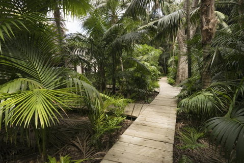 Arajilla Retreat - Accommodation Brunswick Heads 3