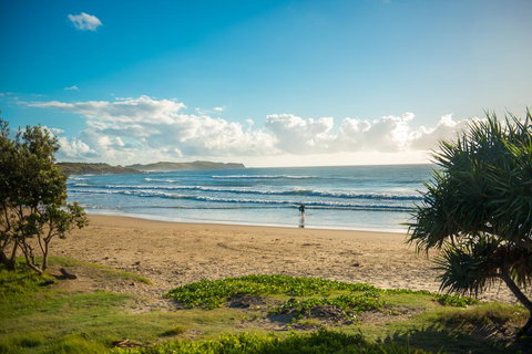 ArtHOUSE Beachfront Accommodation - Accommodation Brunswick Heads 1