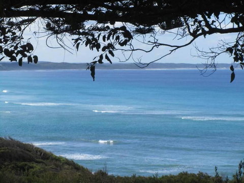 Maizies View - A Hidden Gem - Accommodation Brunswick Heads 1
