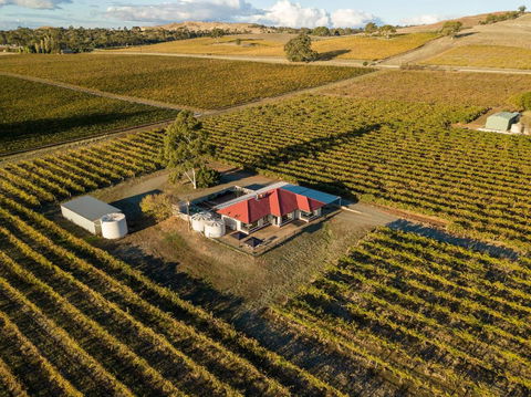 McGill Vineyard Barossa - Accommodation Brunswick Heads 0