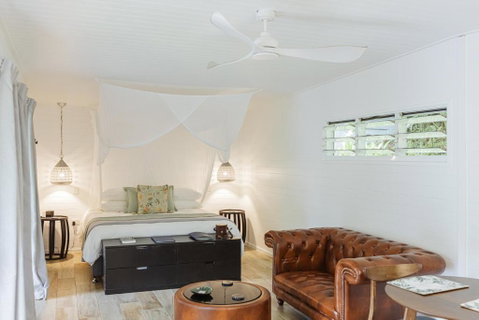 Mist At Cape Tribulation - Accommodation Brunswick Heads 1