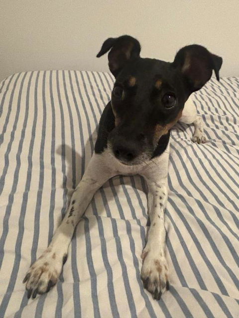 Modern Apartment Near Airport - Accommodation Brunswick Heads 1