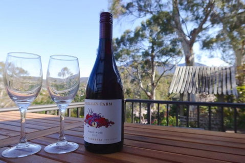 Mountains And Treetops Retreat - Nature Getaway - Accommodation Brunswick Heads 2
