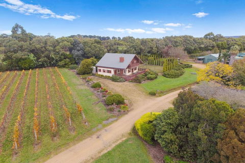 Northway Downs Estate Vineyard - Accommodation Brunswick Heads 3
