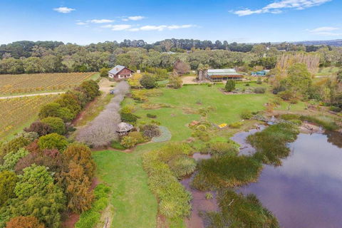 Northway Downs Estate Vineyard - Accommodation Brunswick Heads 2