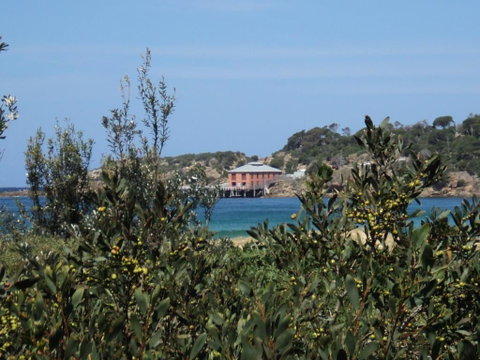 NRMA Tathra Beachfront Holiday Park - Accommodation Brunswick Heads 1