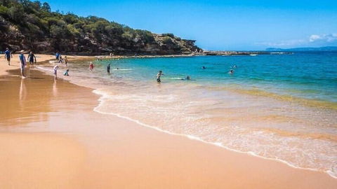 Ocean Views, Easy Walk To Beach And Bouddi National Park - Accommodation Brunswick Heads 2