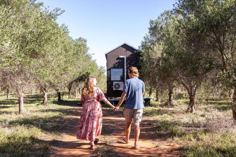 Olive Grove Retreat 2 By Tiny Away - Accommodation Brunswick Heads 1