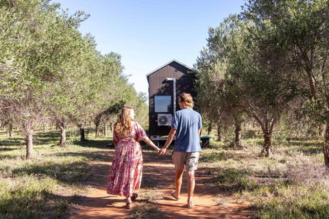Olive Grove Retreat 2 By Tiny Away - Accommodation Brunswick Heads 0