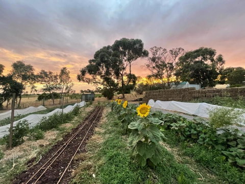 Penobscot Farm Cottage - Accommodation Brunswick Heads 2