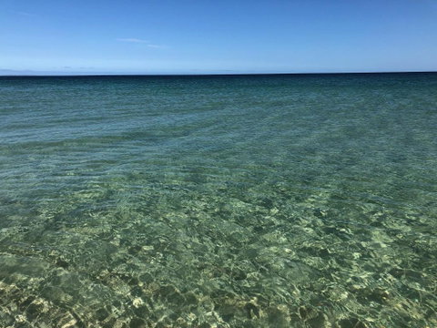 Peppermint Grove Beach Holiday Park - Accommodation Brunswick Heads 3