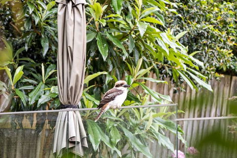 Quaint Queen Room - Central Location At Pymble - Shared Bathroom - Accommodation Brunswick Heads 1