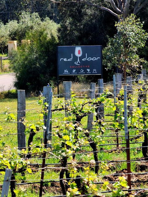 Red Door Collective - RDC Vineyard Estate, Luxury Adult Only Stay - Accommodation Brunswick Heads 1